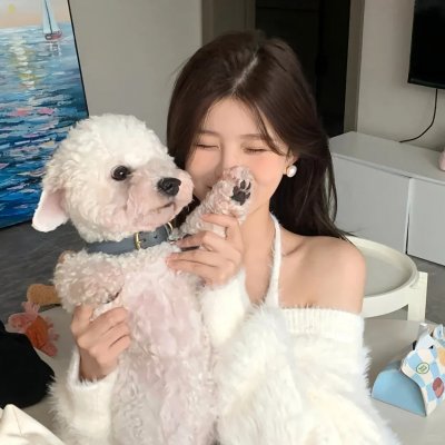 阿玛迪斯