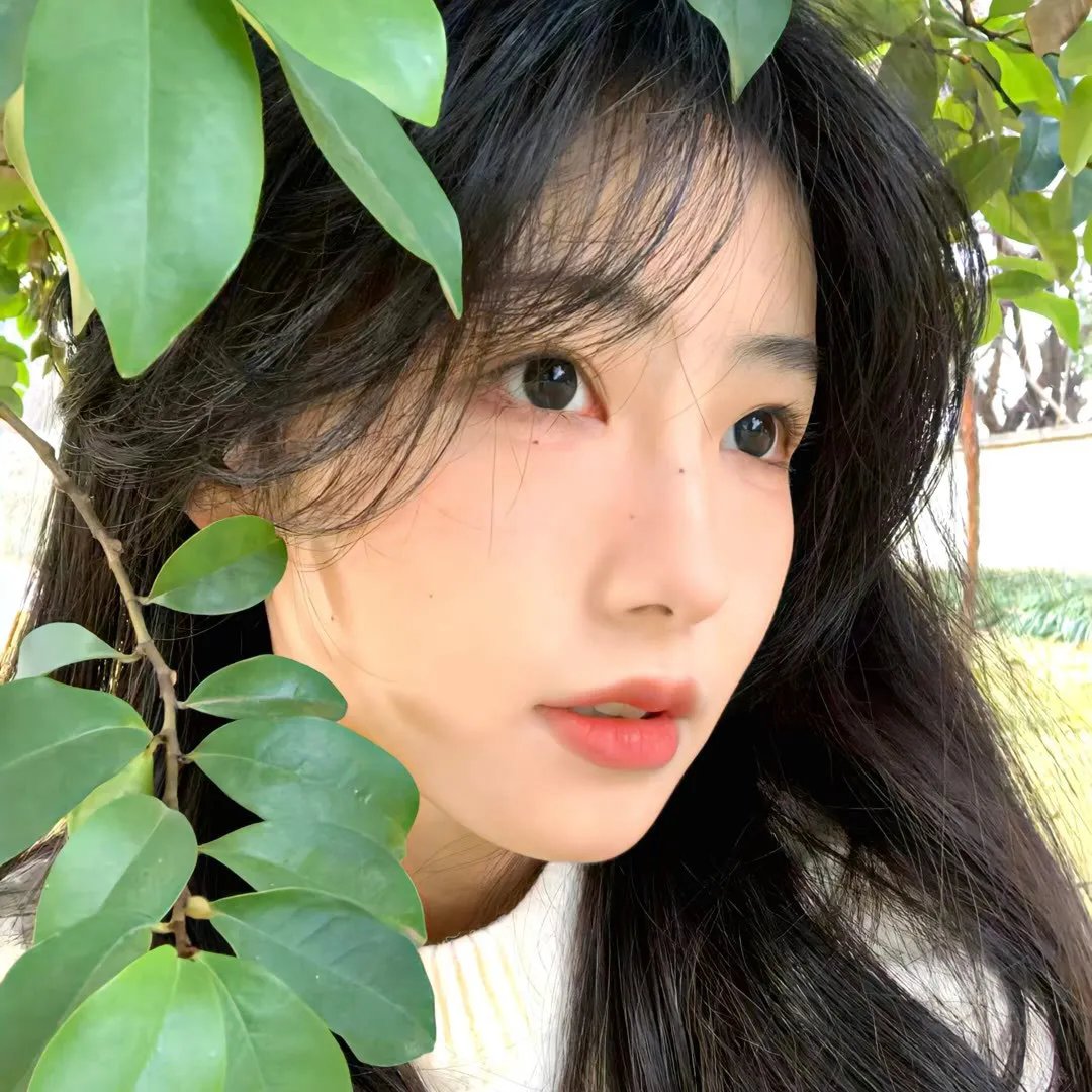 青龙剑
